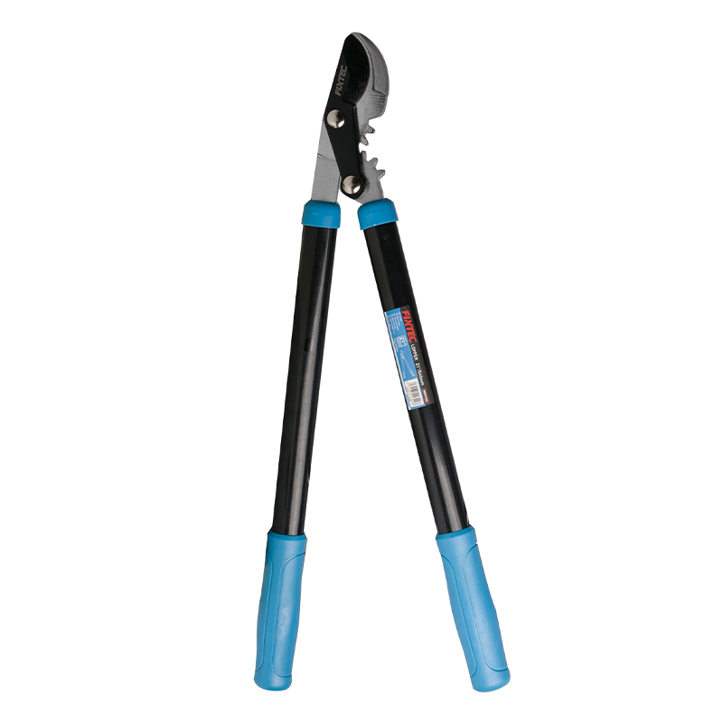 Baumschere, Astschere